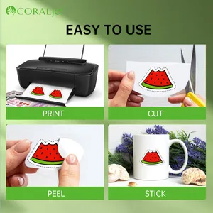 Selbstadhäsive selbstadhäsive Cararaljet -Wasserdichtung, hell, hohe Qualität, A4, 4x5, A6, 20, 50 Blätter, 8,3 Drucker, 8,3 8 Hauptverkauf A4 500 Blätter - №1