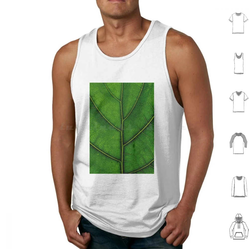 Green Ficus Pandurata Tank Tops Print Cotton Ficus Ficus Pandurata Detail Sheet Botany