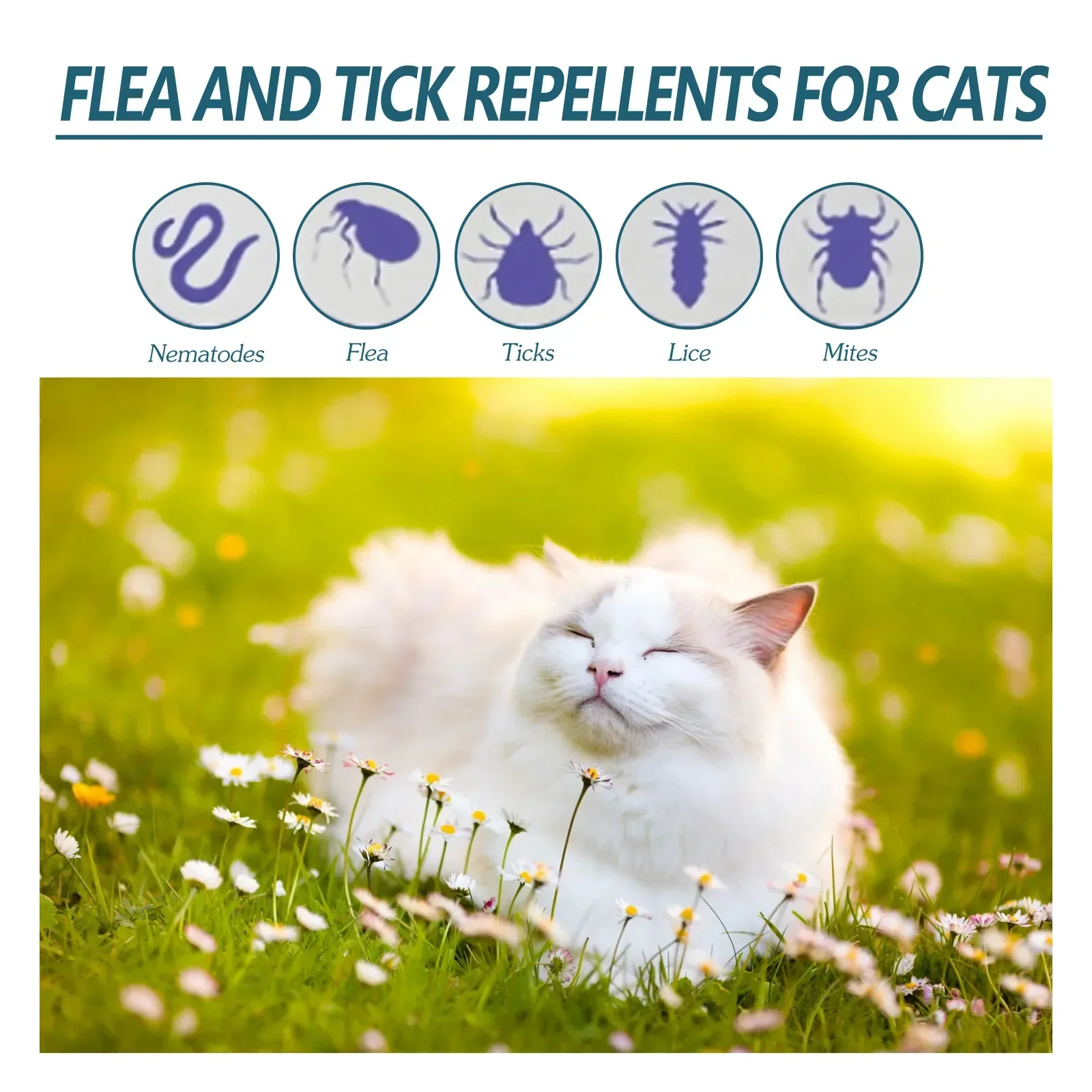 Pet Flea Killer Drops Anti Fleas Cats Ticks Lice Mite Removal Relieve Itching Dogs Ringworm Treatment Pet Insect Removal Drops