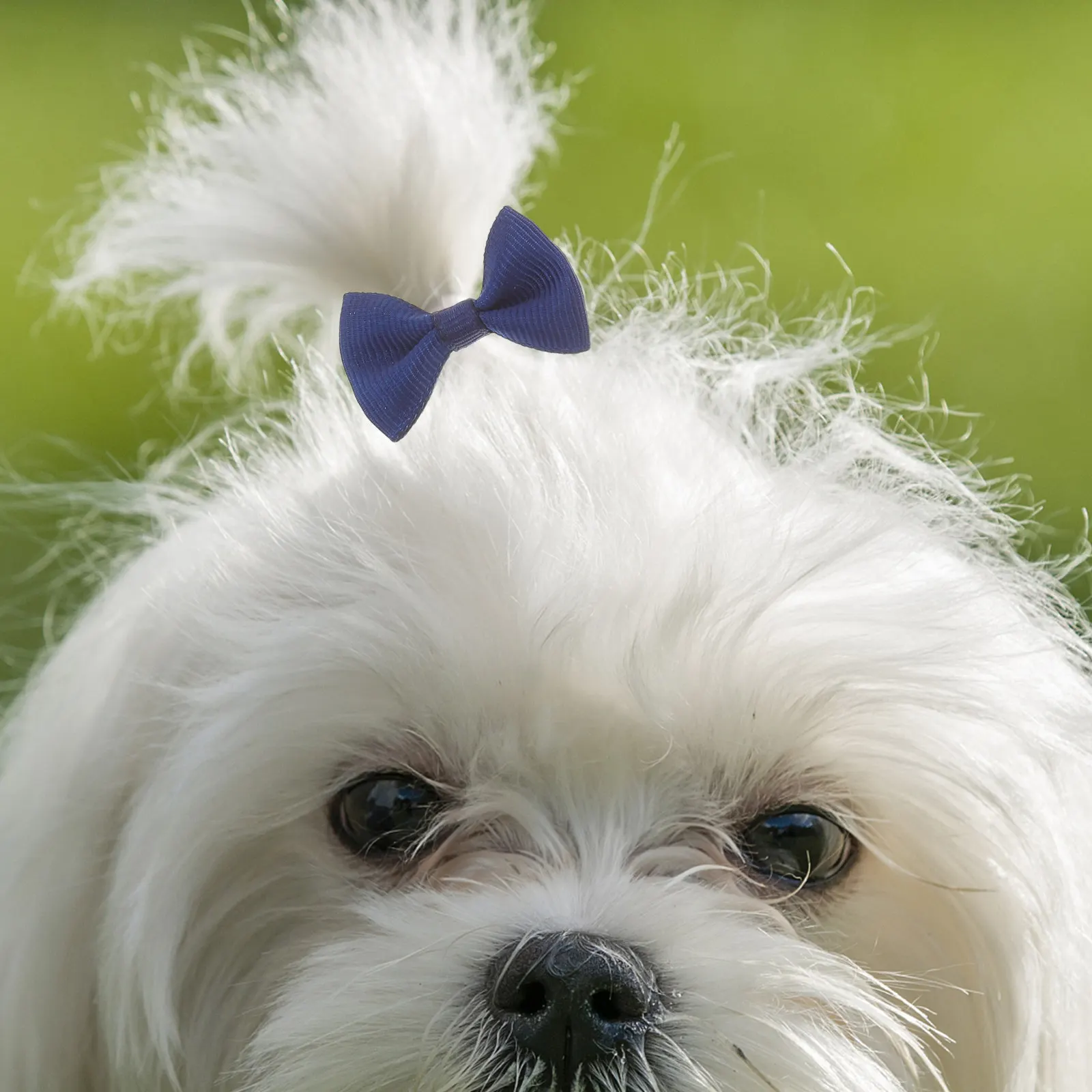 

20 шт. модных забавных резинок для волос с бантиками для домашних животных: собак, кошек, для кос, хвостиков, гривы лошадей, дредов, а также для укладки шерсти животных