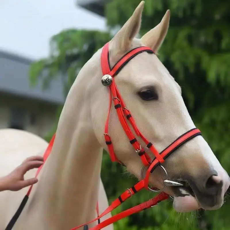 Horse Head Collar Halter Horse Riding Bridle High-quality PVC Horse Racing Hight Quality Equestrian Equipment