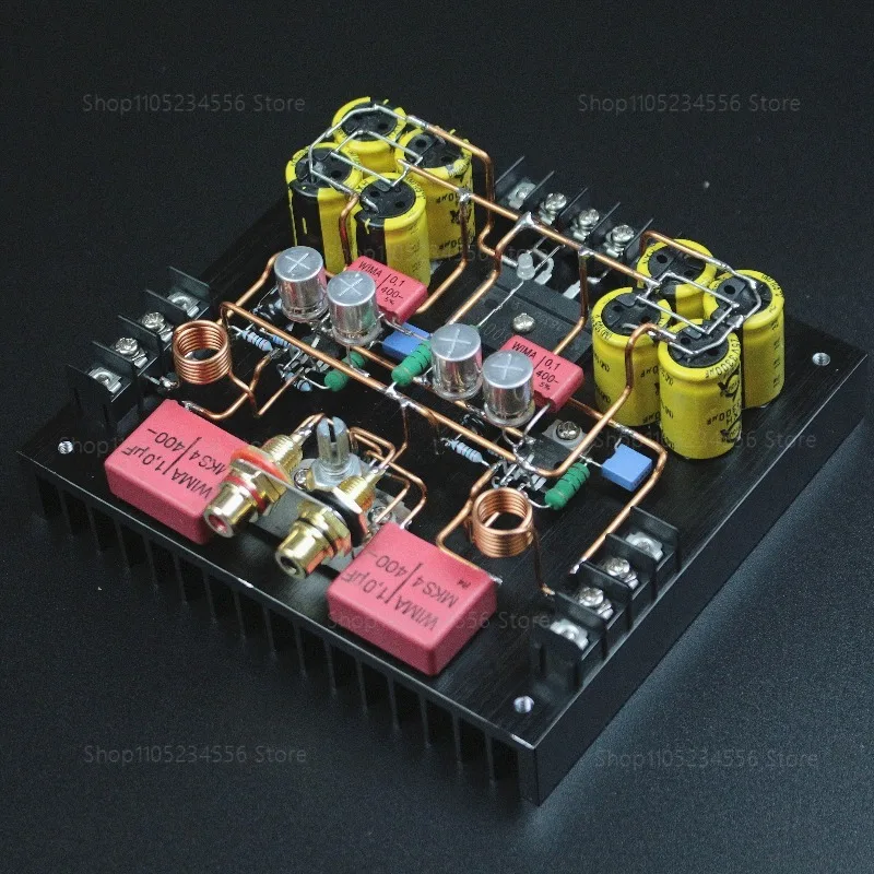 

LM1875 TDA2050 P2P Amplifier Handmade Point To Point Wiring No Transformer HiFi Amp