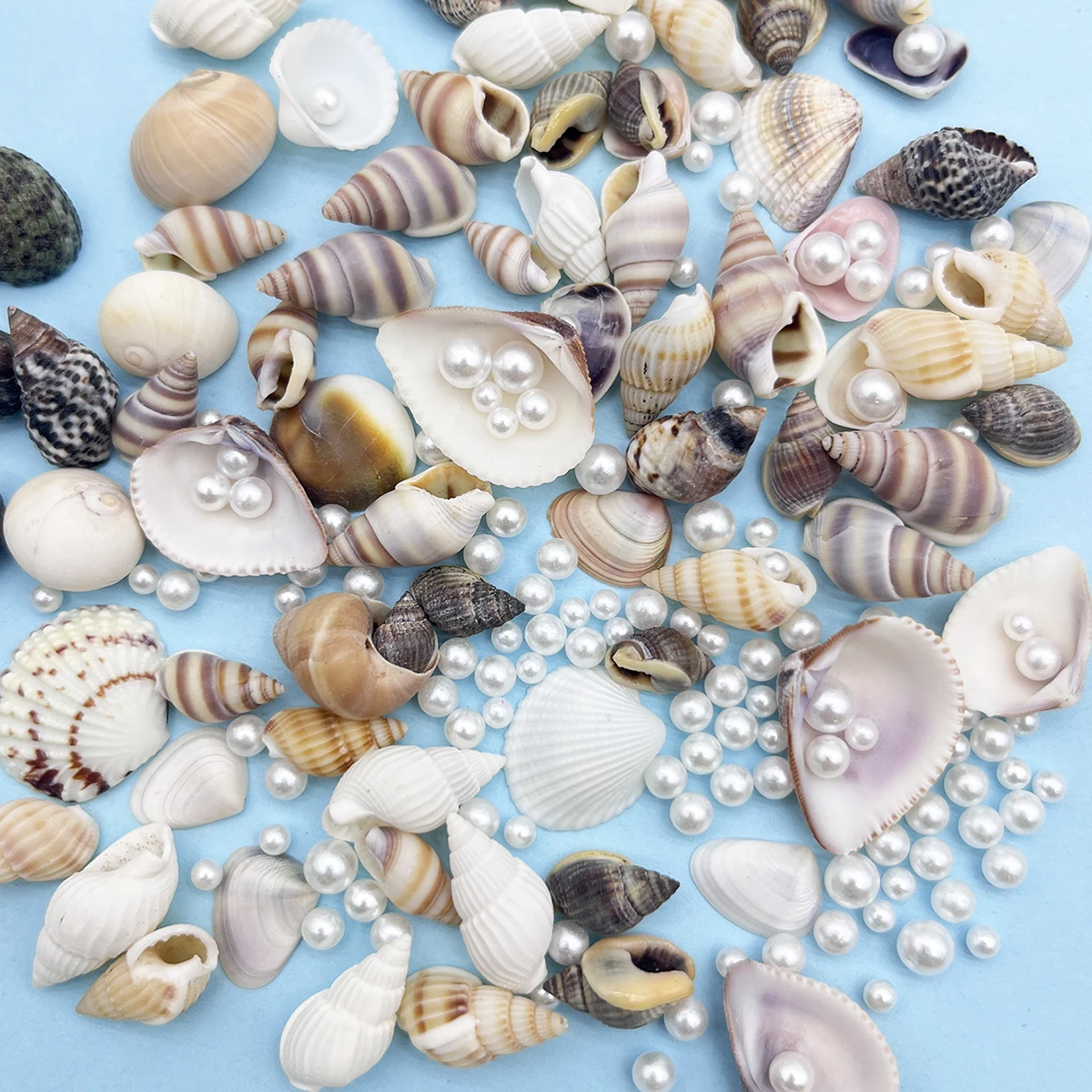 Perle et coquille de Simulation en résine pour la décoration de la maison, cadre Photo artisanal, cadeaux pour amis, bouteille à dérive et décorations d'aquarium