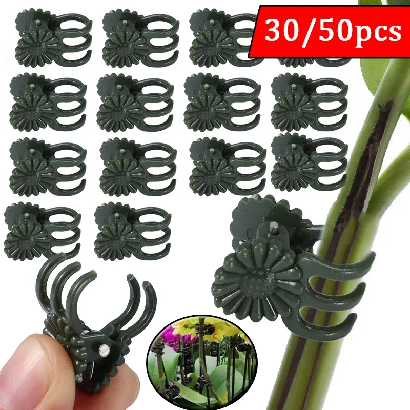 30/50PCS Plant Clamp 5-Claw Plant Clips Orchid Flowers Support Clamp Climbing Vine Stem Clasp Tied Bundle Branch Garden Tools