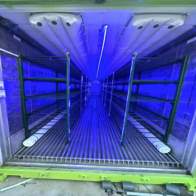 High Yield Mushroom Cultivation Equipment Large Scale Container Farm Durable Farming System Custom
