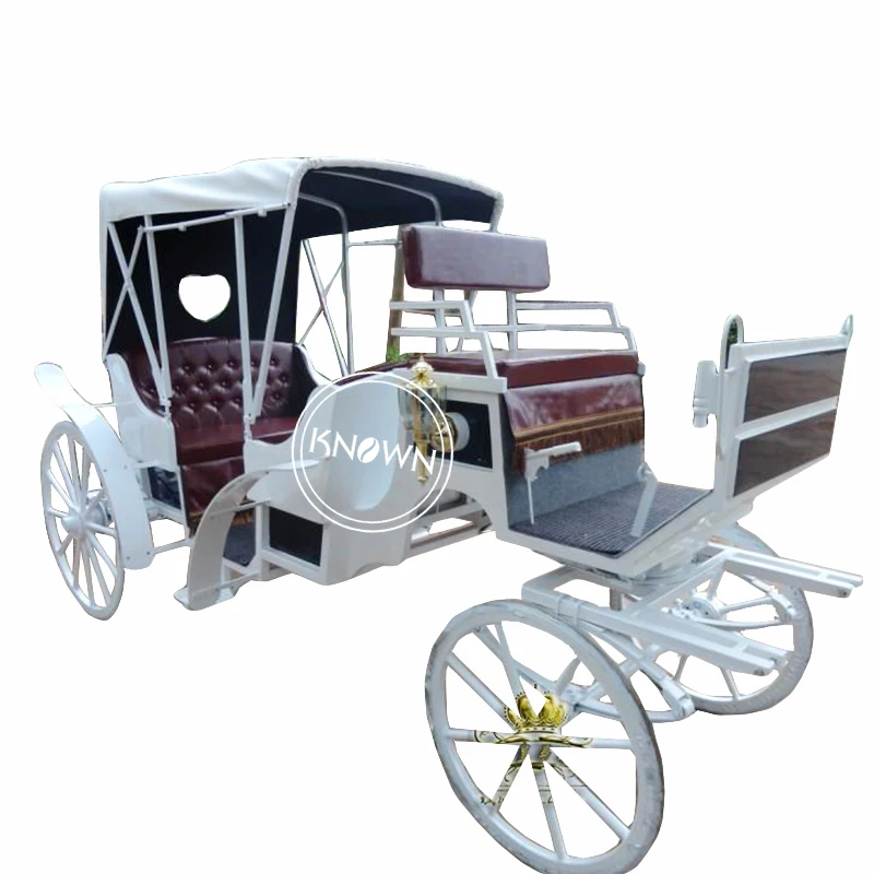 

Cinderella Pumpkin Prinss Wedding Carriage Horse Drawn Carriage Royal Horse Trailer