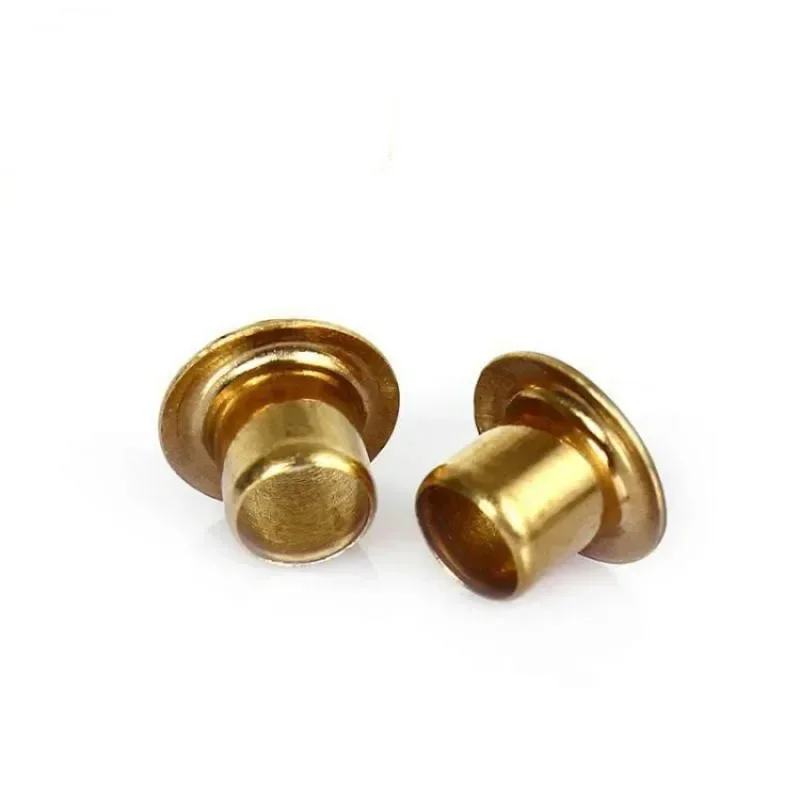 A5000PCS/lot Beekeeping Tools Has Bee Comb Foundation Nest Box To Wear Silk Hole Nest Box Nail Copper Eye Beekeeping