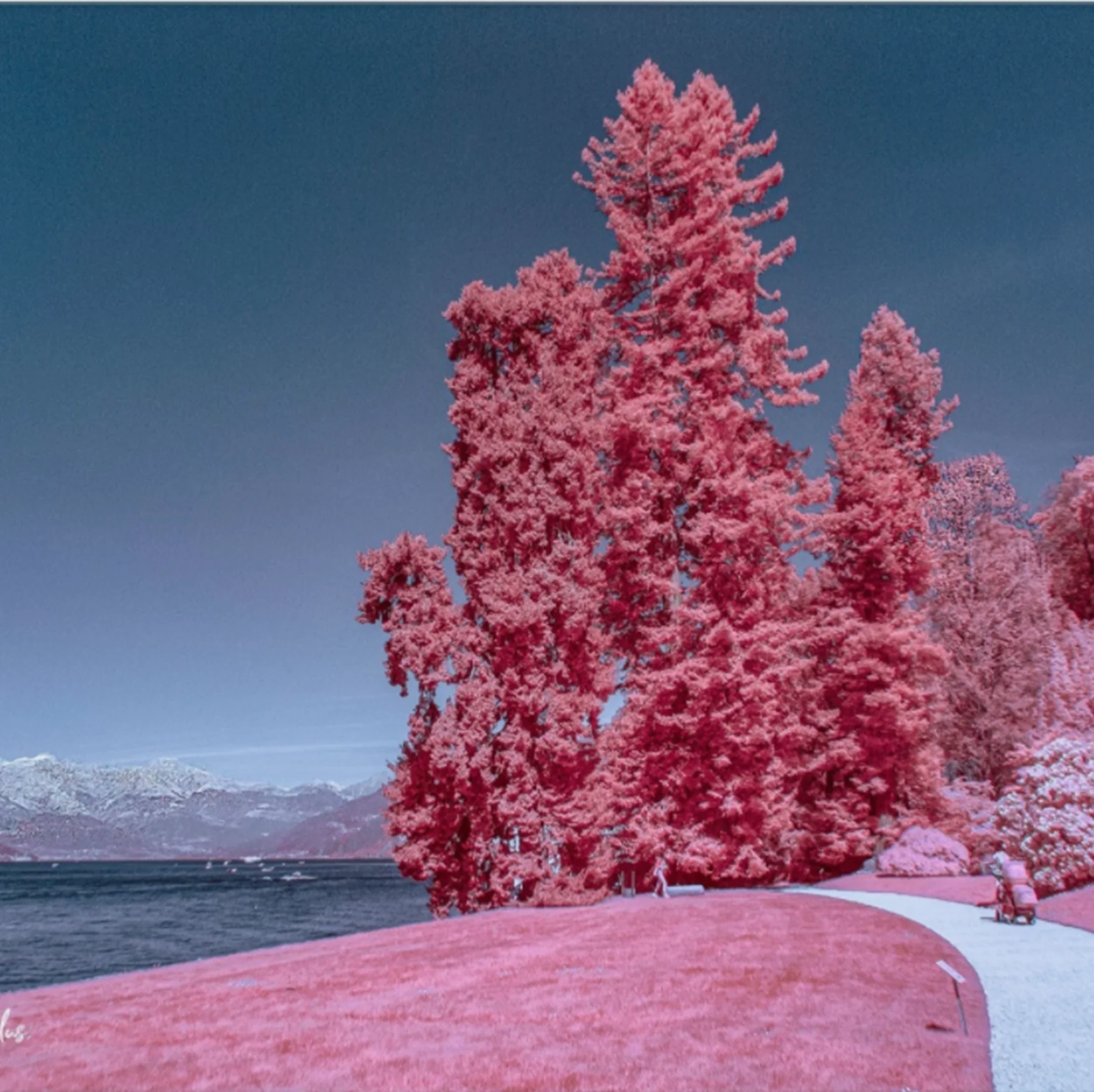 Gebruikt voor camera-infraroodfotografie 580nm IR lange doorgangfilter optisch glas CB580