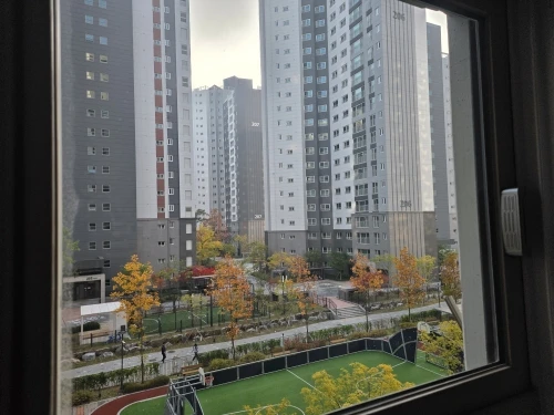 리뷰 사진