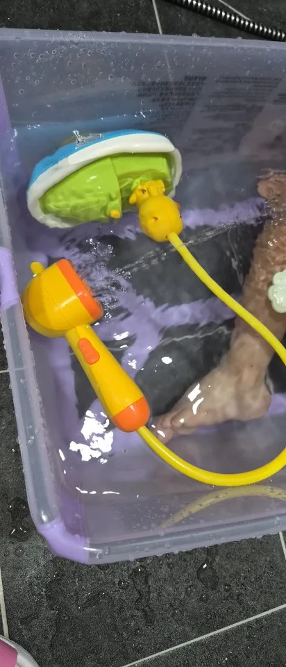 구매후기