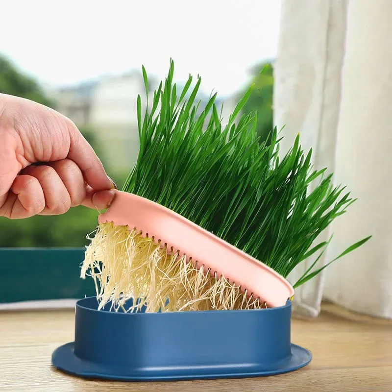 Pet Sprout Dish, Growing Pot, Hydroponic Plant, Cat Grass Germination, Digestion Starter, Greenhouse Grow Box, Reusable, 1Pc