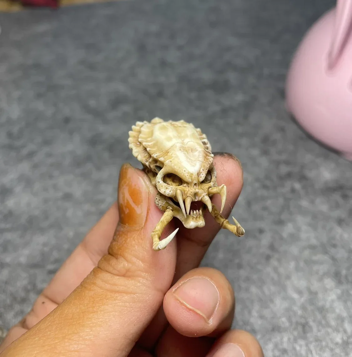 1/12 Scale Predator Spoils NECA Alien Model for 6in Action Figure Accessory Toys Scene Display