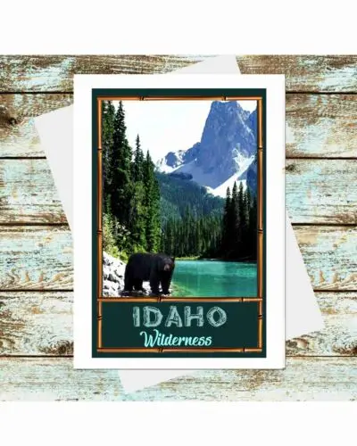 Set Of 6 Travel Poster Greeting Cards Vintage Idaho wilderness Bears