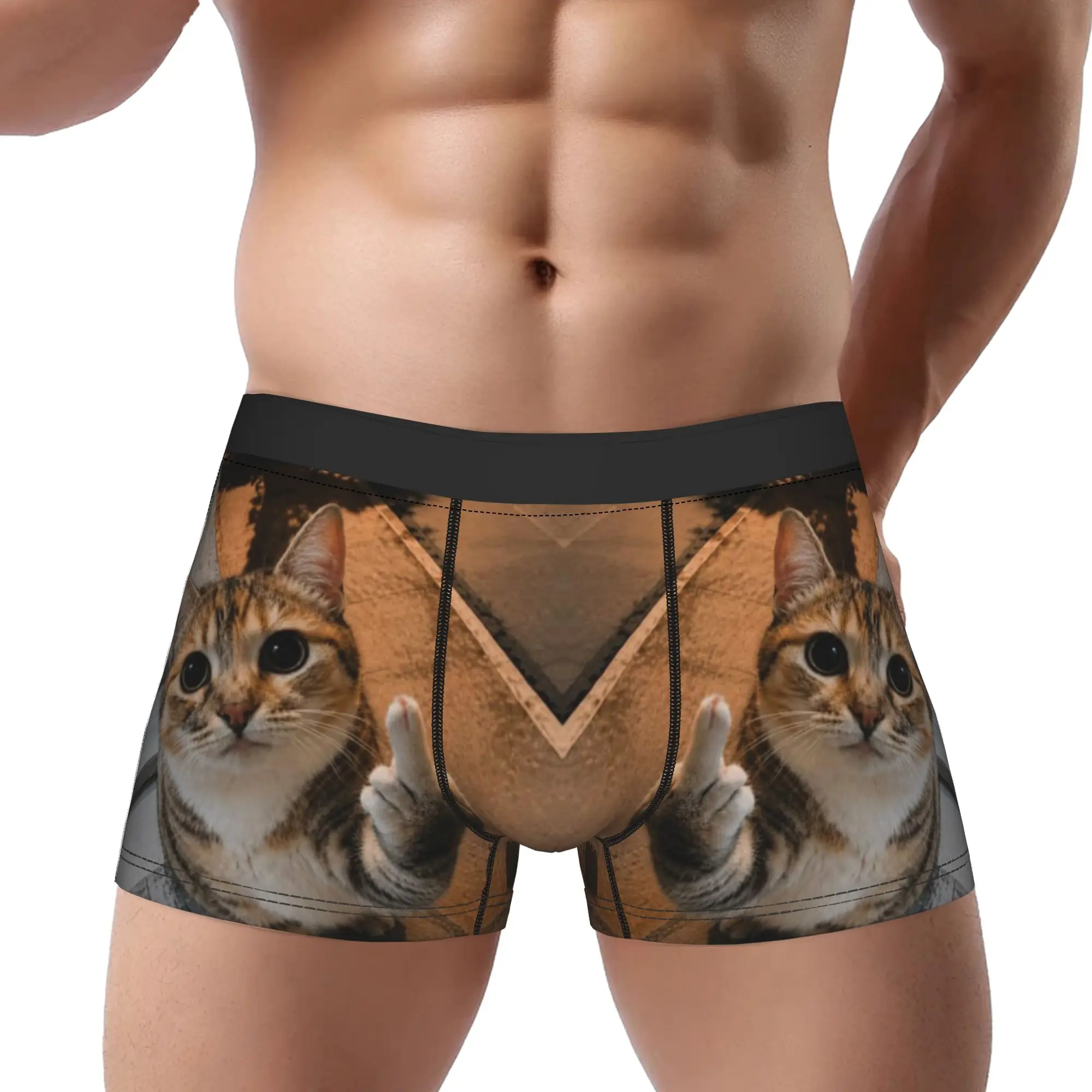 Tabby Cat Middle Finger Funny Meme   Underpants Homme Panties Man Underwear Comfortable Shorts Boxer Briefs
