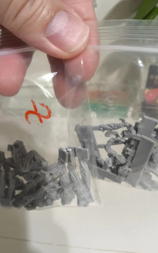Buyer photo of this resin kit
