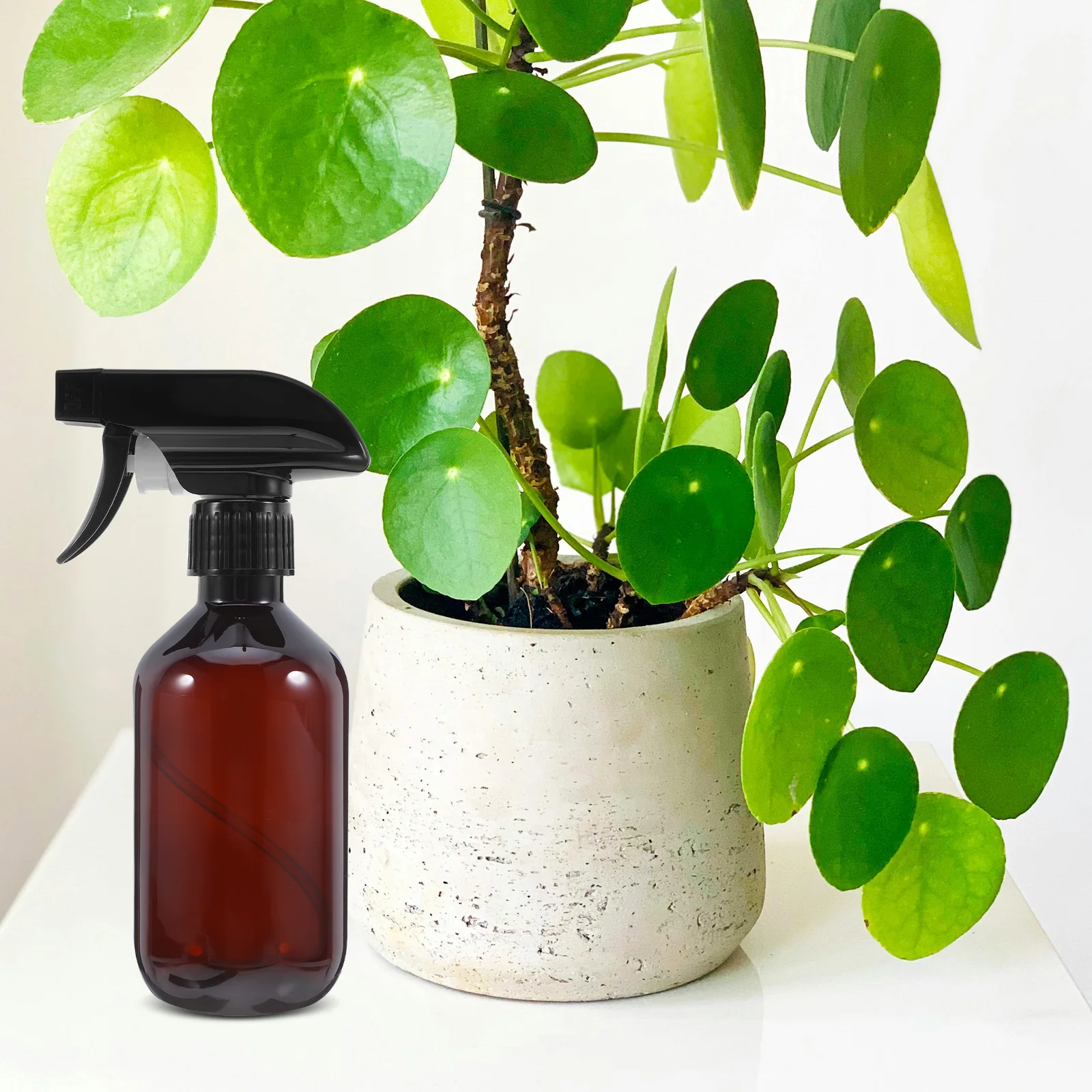 

Clear Spray Bottle Mister Misting for Plants Atomizer Fine Sprayer Cleaning Bottles Empty Flower Water