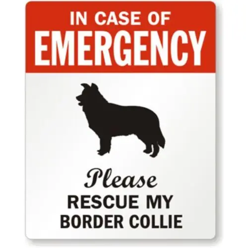 Border Collie Pet Rescue Aluminum Weatherproof Sign p1162