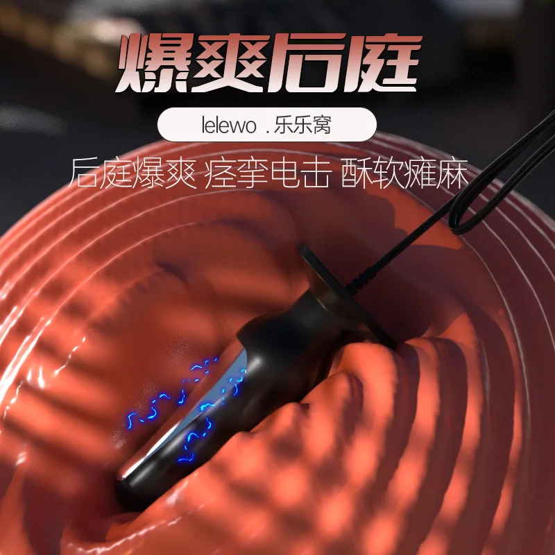 ショックニップルクランプと膣クランプssm罰小道具おもちゃツールアナルプラグダブル電極アナルペニスS