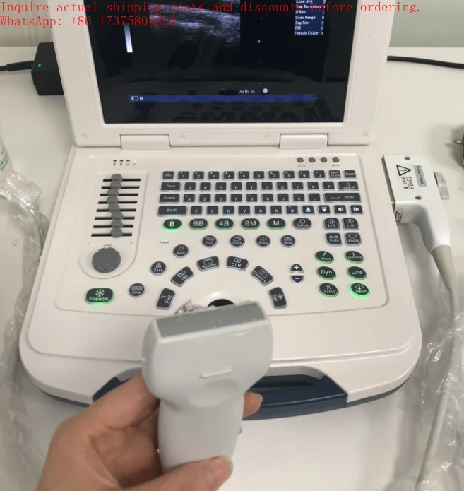 

2026 OSCAT TOP Selling New Basic Laptop With All Digital Veterinary Ultrasound System Veterinary Ultrasound Scanner Probe
