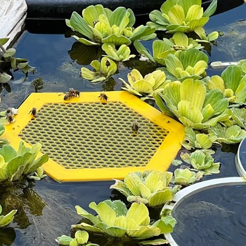 Bee Insect Drinking Tray Eco-Friendly Insect Water Station Tray For Garden Pollinators Drinking Gardening Beekeeping Tools