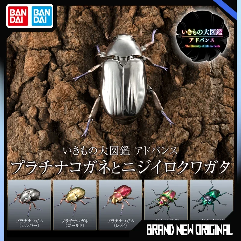 

BANDAI Biological Encyclopedia Action Figures Model Gemstone Beetle Rainbow Shovel Armor Gashapon Collectible Model Ornament