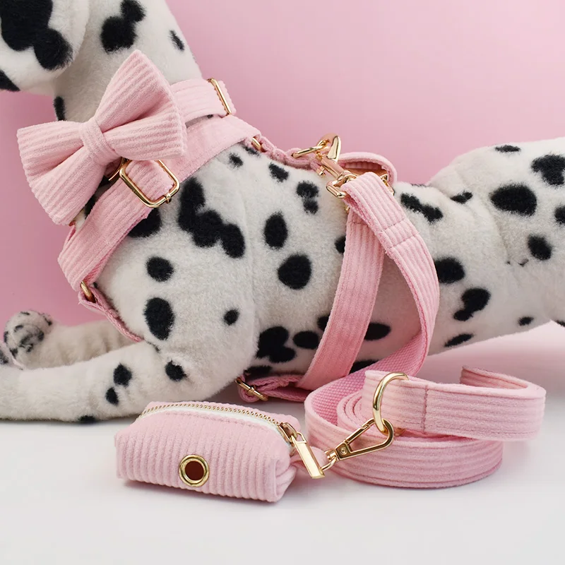 Set collare e guinzaglio per cani in velluto a coste rosa per cani targhetta con incisione personalizzata forniture per animali guinzaglio per cani