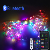 Smart Bluetooth App Control USB LED Festival Light String 5m 10m 20m USB Fairy Lights New Year Party Wedding Decor Colorful Tape