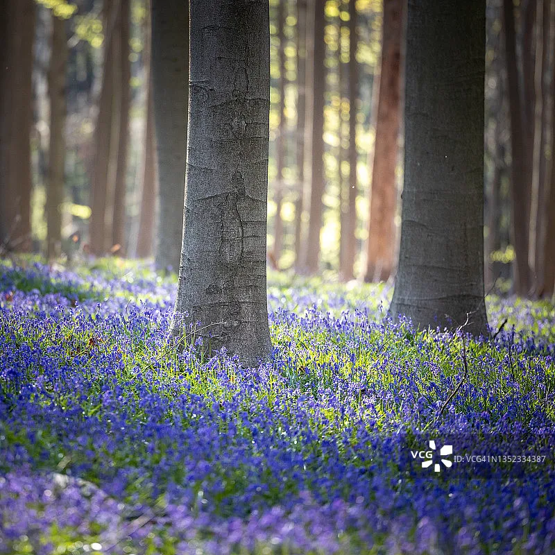 

Модуль GPS-компас Holybro M9N — 115200 Baud, светодиод 5 Гц для Pix32/Pixhawk 4 PX4 Ardupilot (Дрон/БПЛА/Rover)