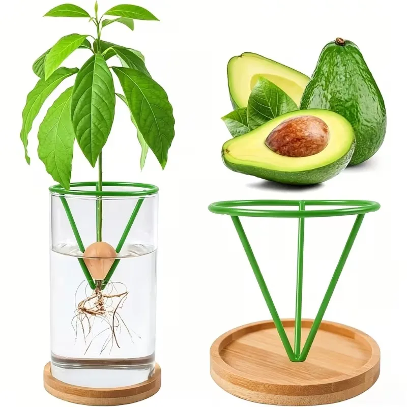 2 Hydroponic Seed Support Pots – Green Conical Containers, for Avocados & Seedlings, Indoor/Outdoor