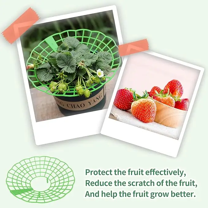 10Pcs Strawberry Plant Support Racks Green 3-Legged Plant Protector Stand for Strawberry Watermelon Garden Planting Accessories