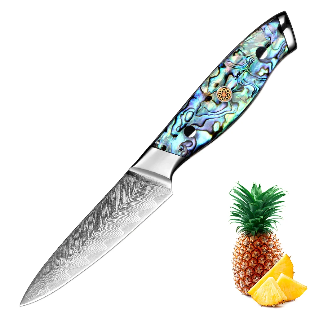 

Damascus Fruit Knife 3.5 Inch Japanese Damascus Steel Sharp Paring Knife Kitchen Small Knife for Cutting Full Tang Peeling Knife