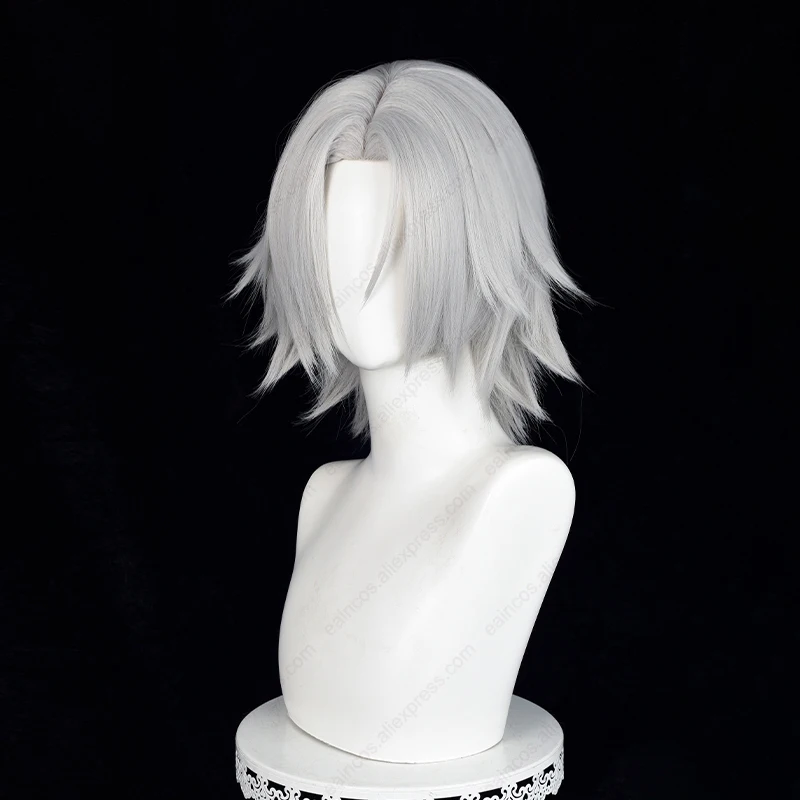 Hayato Gokudera Anime Cosplay Peruca, Perucas curtas cinza quente, cabelo sintético resistente ao calor, 33cm