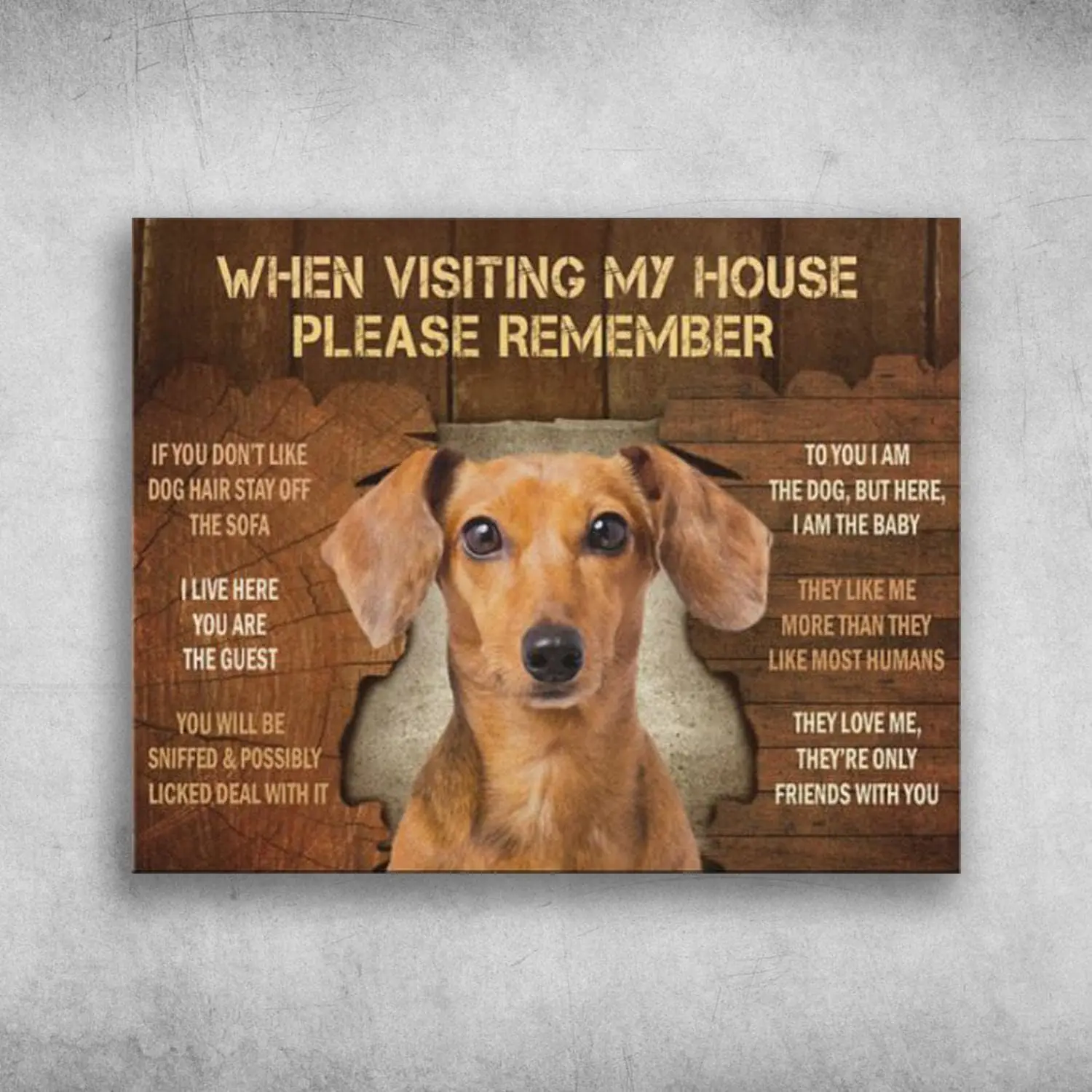 Metal Tin Sign Dachshund Dog When Visiting My House Please Remember Aluminum Vintage Sign tin sign Retro for Home Garden