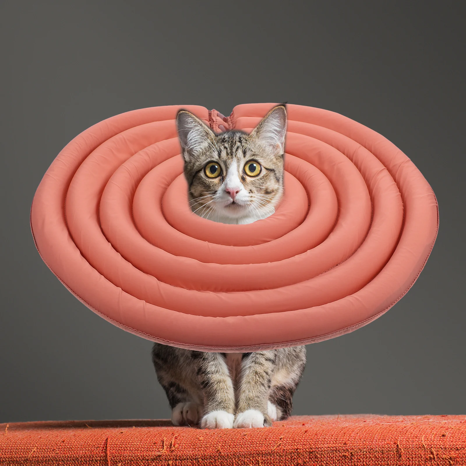 

Pink Dog Collar Cone Soft Pet Recovery Dogs Protection Accessories Swimming Ring