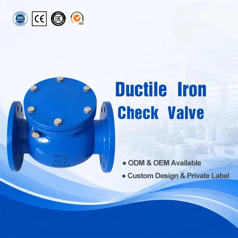 Hot Sale Cast Iron Check Valve Horizontal One-way Check Valve Flange Swing Check Valve