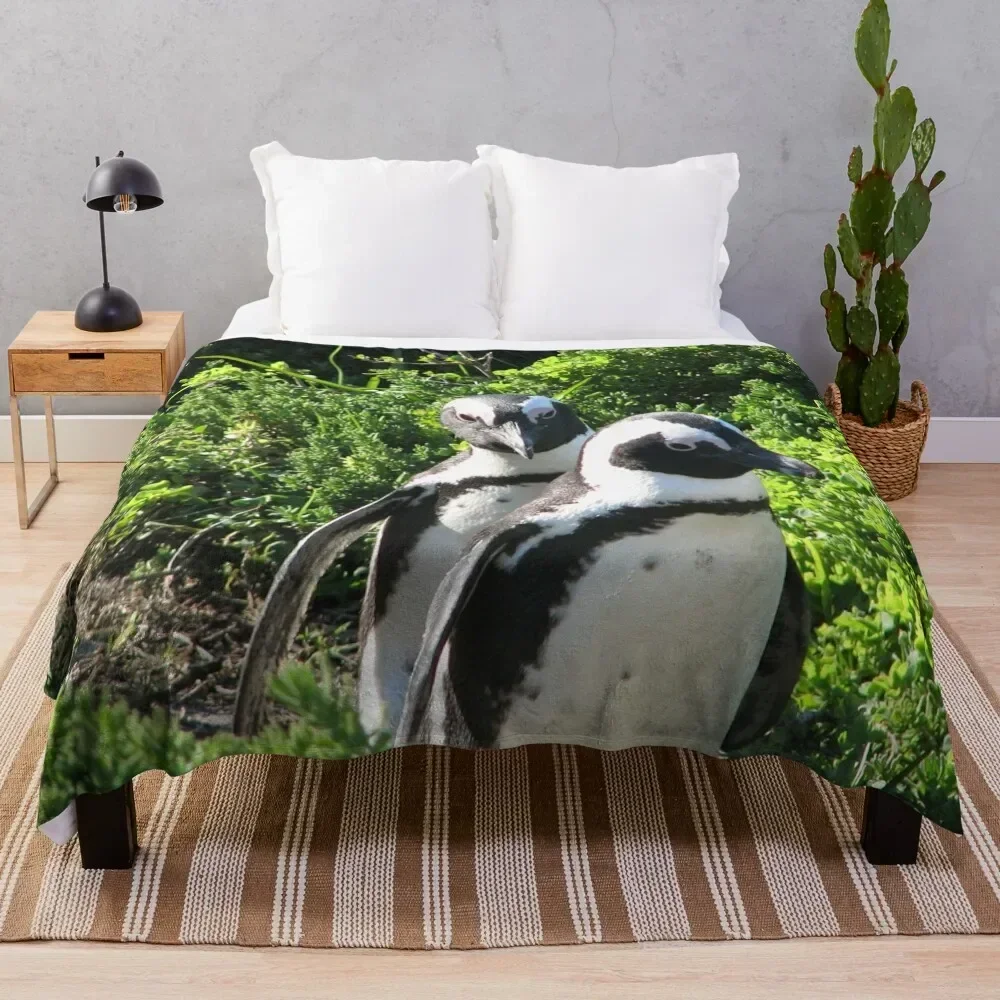 Two African Penguins Strolling Boulders Beach, Cape Town, South Africa Throw Blanket Cute Plaid Summer Beddings Hairy Blankets