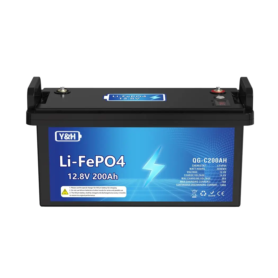 

12V 200AH LiFePO4 Lithium Battery,Max.2560Wh Energy,USB Port,Real-Time Voltage Display,Built-in BMS,Perfect for, Customized