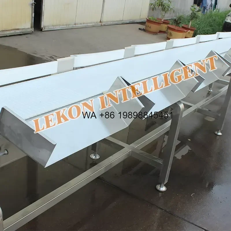 Wmwmnu Automatic Seafood Fish Salmon Whole Chicken Weight Grading for Industrial Food Processing Sorting and