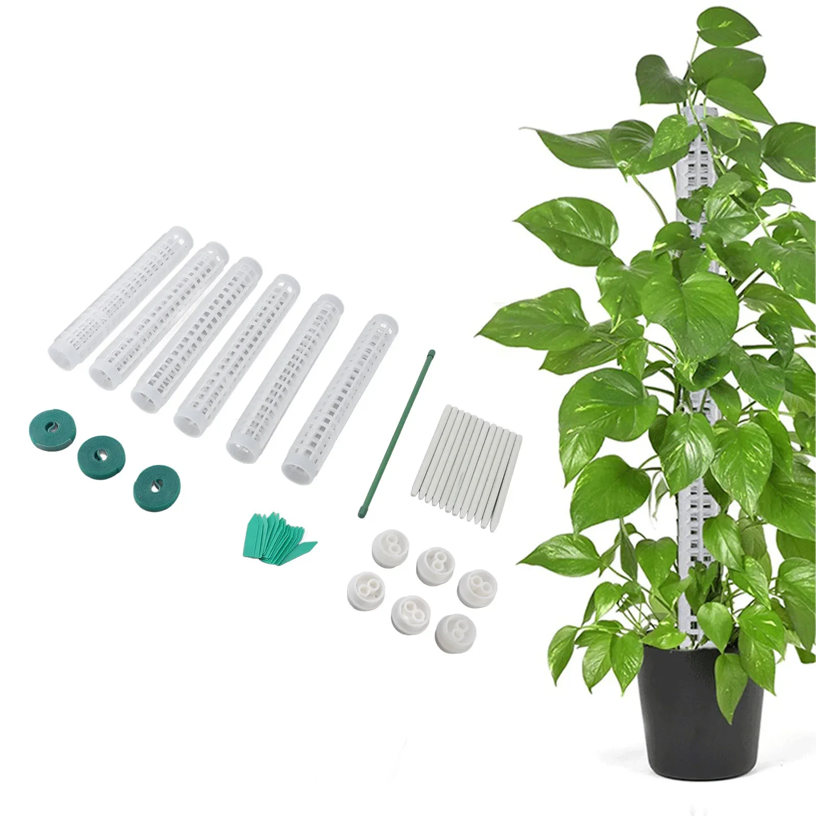 

6 шт. пластиковые опора для мха для маленьких и средних вьющихся растений Monstera, 10 дюймов, штабелируемая опора для растений для комнатных и уличных горшечных