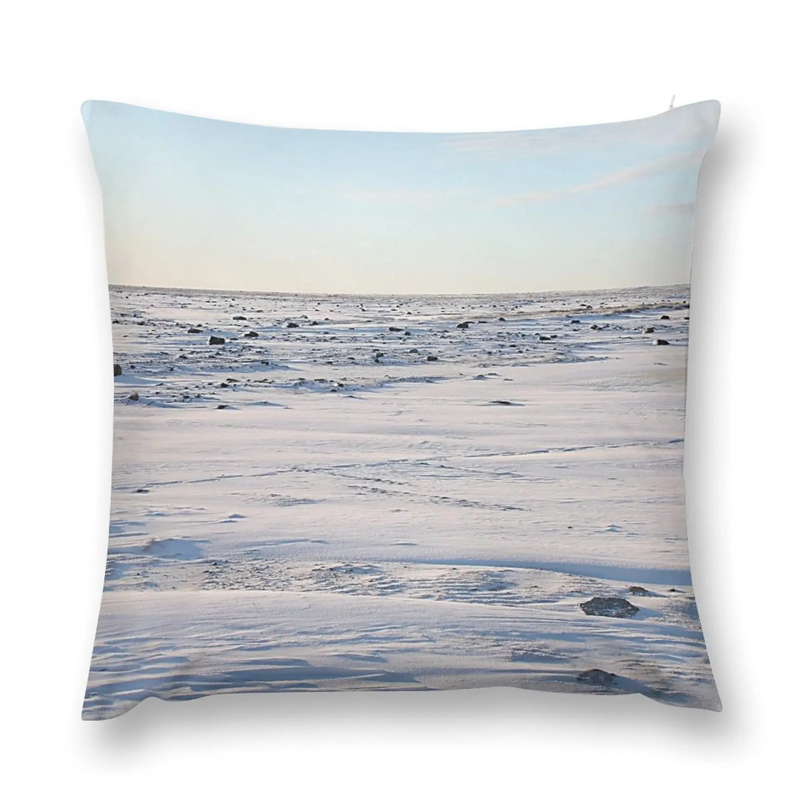 Early Morning on the Tundra, Churchill, Canada Throw Pillow Sofa Cushion Cover ornamental pillows bed pillows pillow