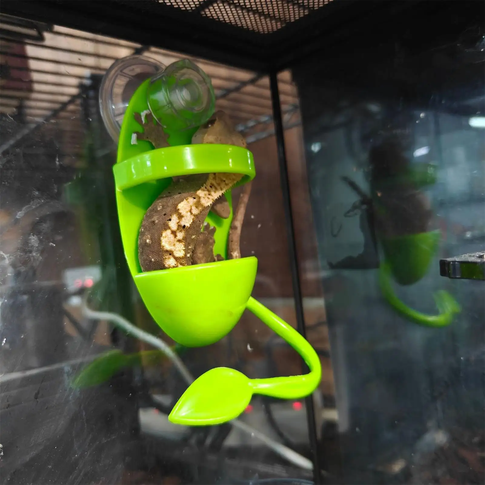 Thumbnail 2 - #11 Best Selling Pet Habitat Decors
