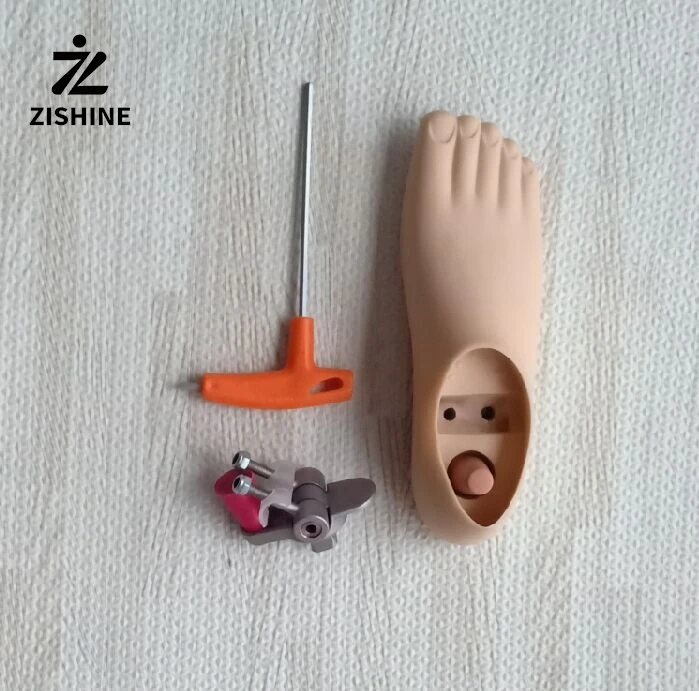 

Аксессуары для протезания, протез для ног, двойное отверстие, подвижная лодыжка, полиуретан, остаточные конечности, ноги, замена мизинца