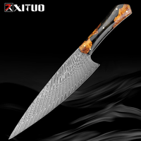 Damascus Steel Kitchen Knife Pro Chef Knife 8 Inch Japanese 67-layers VG10 Steel Sharp Slicing Knife Full Tang Resin & Wood