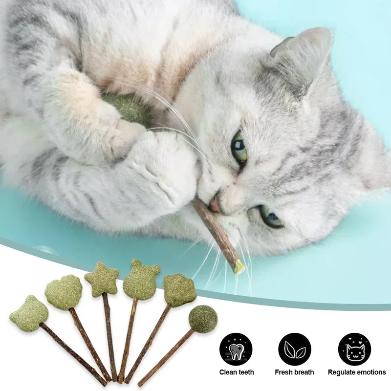 Cute Shape Freshen Catnip Ball Toy Cat Licking Playing Snacks Cat Mint Breath Mint Lollipop Toy Cat Supplies Pet Digesting Tool