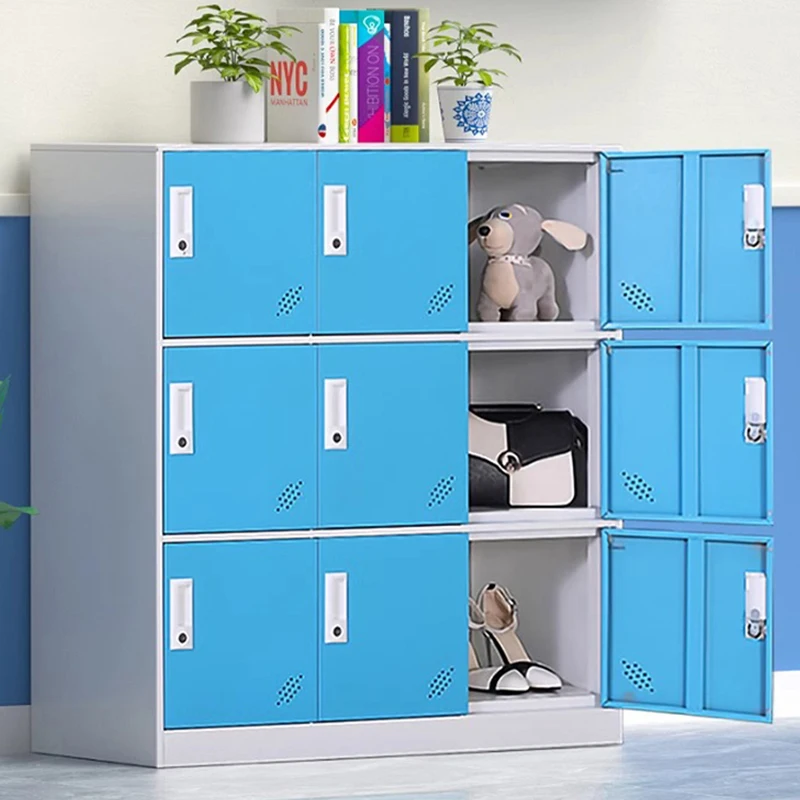 Locker Living Room Cabinet Filing Metal Kitchen Modern Medicine Office Cabinet Garage Storage Szafka Recibidor Mueble Furniture