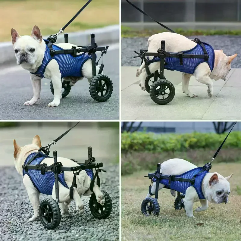 Adjustable Small Dog Wheelchair For Back Legs Disabled Pets Leg Brace Mobility Aid For Small Pets Hind Limb Rehabilitation Older view 3
