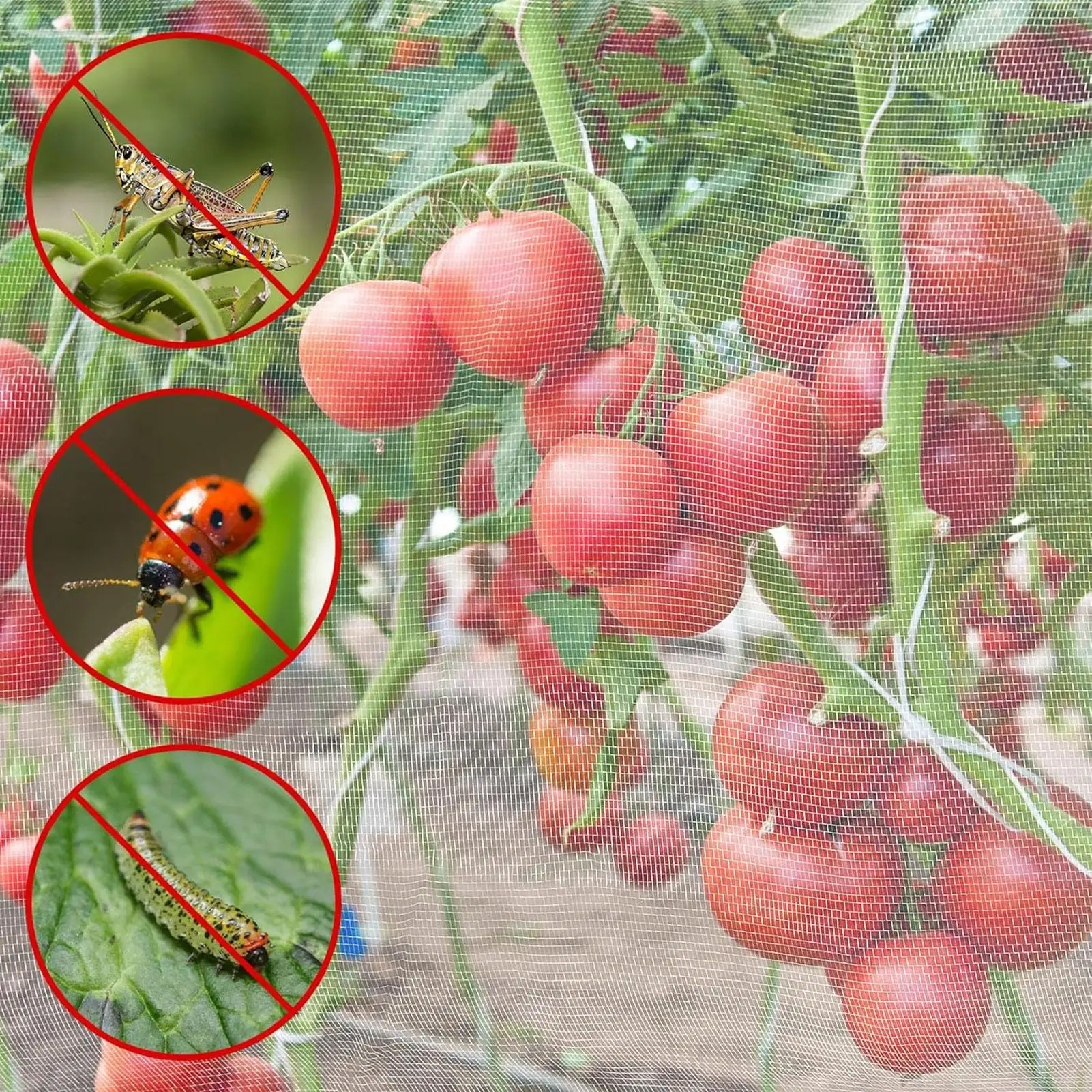 

Mesh Netting For Plants Mesh Cover Plants Netting Breathable Animals Barrier Outdoor Protector For Vineyard Yard Orchard Raised