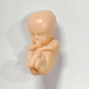 Figura de bebé humano mini muñecas órganos Anatomía Skeleton Medicina Enseñanza Feto maternal Juguetes de bricolaje 8 Mejor cifra de anatomía de ventas - №3