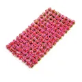 Red Pink