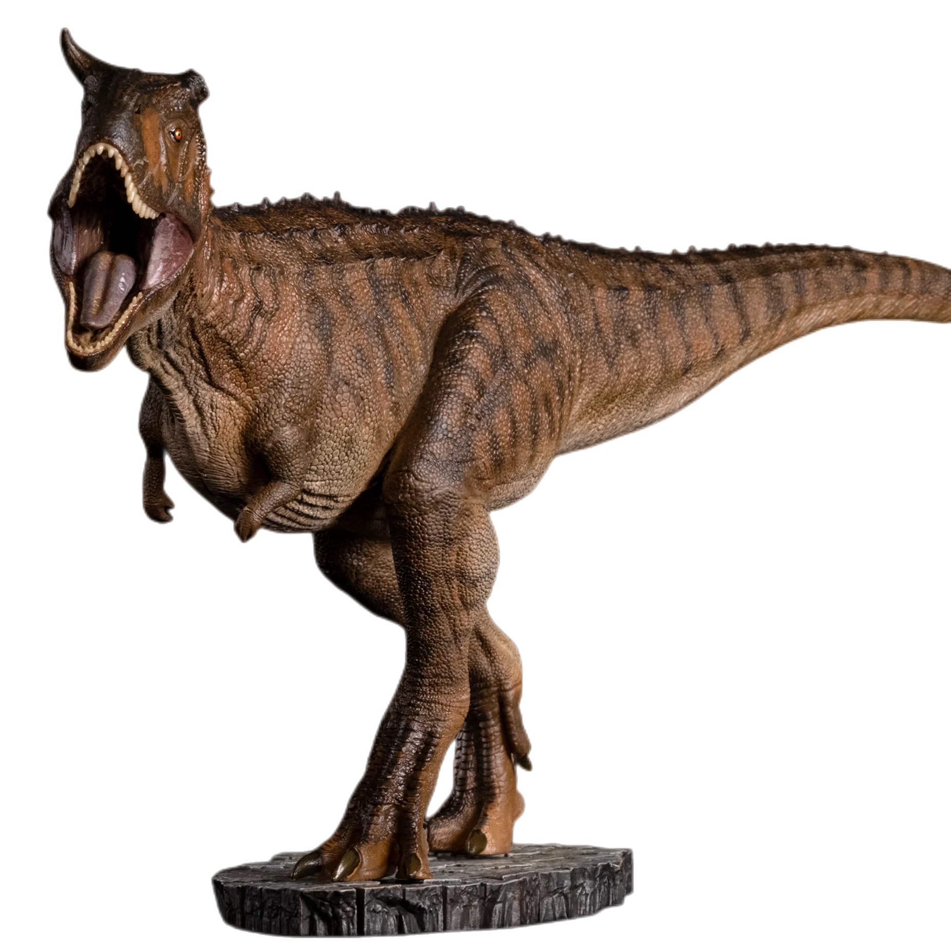 Broken full horn carnivorous bull dragon dinosaur model dinosaur theme toy simulation animal toy adult collection ornament gift